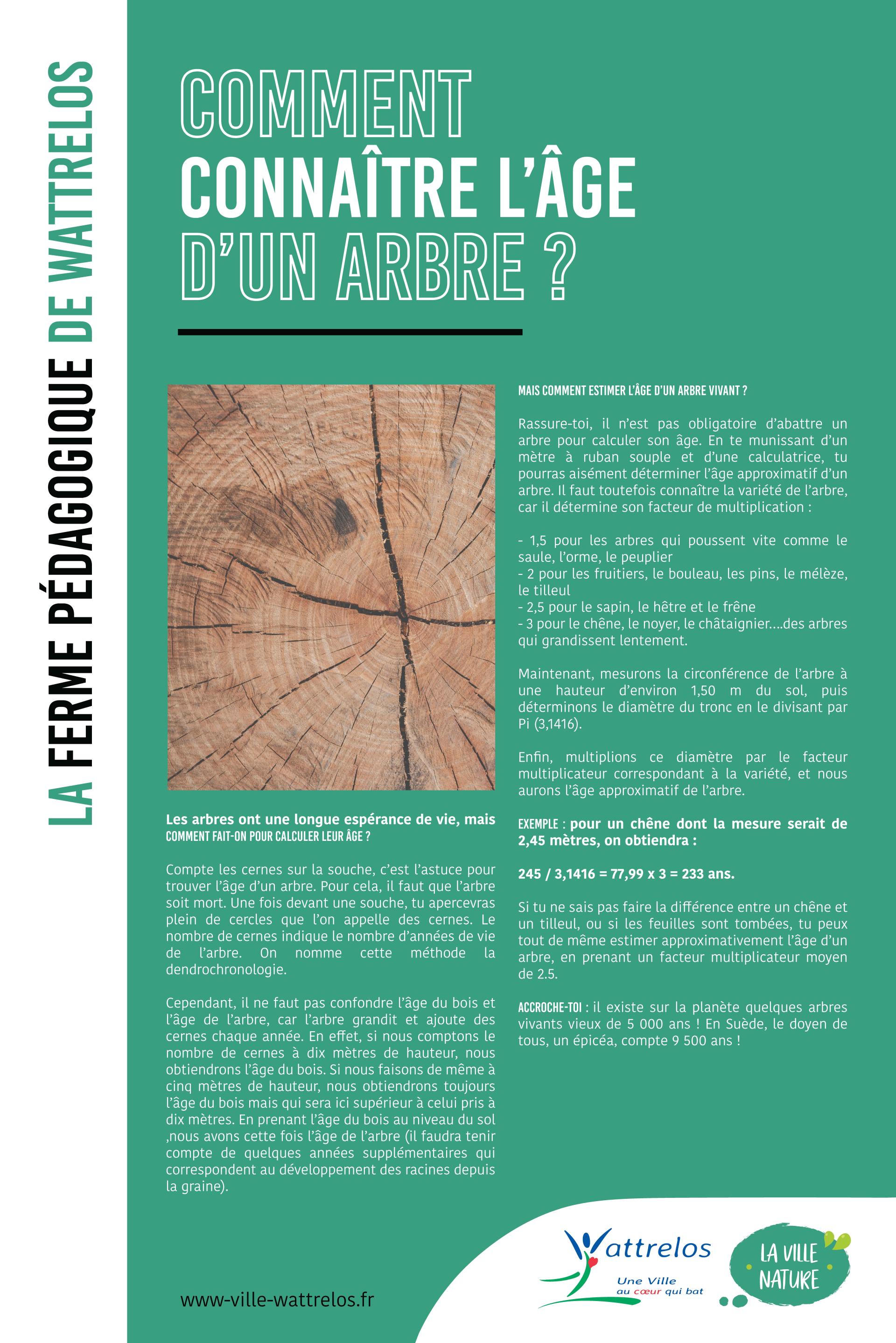 Comment connaître l'âge d'un arbre ?